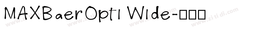MAXBaerOpti Wide字体转换